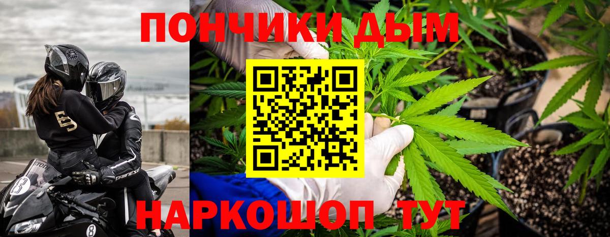 Бошки Шишки семена  Канабис ГИДРОПОН  Вход с VPN  Бошки марихуана White Widow  Узловая 